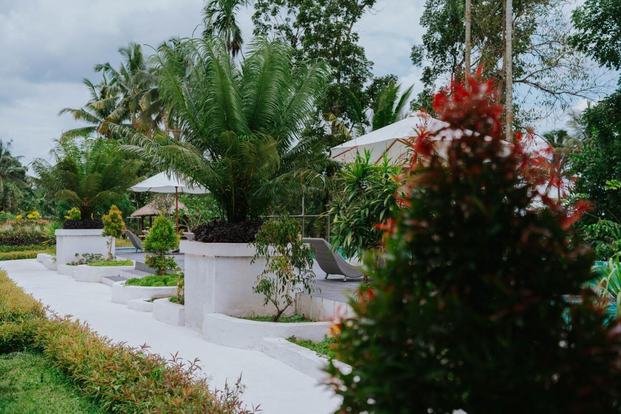 Nirvana Hotel Resort Tetebatu Exteriér fotografie